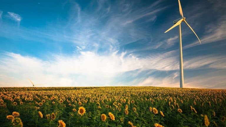 esg investing